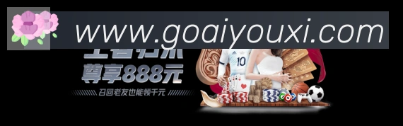 未来规划